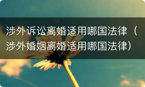 涉外诉讼离婚适用哪国法律（涉外婚姻离婚适用哪国法律）