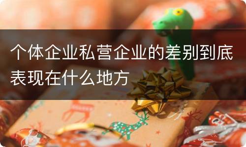 个体企业私营企业的差别到底表现在什么地方