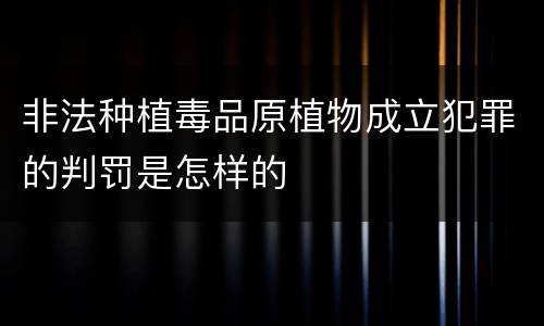 非法种植毒品原植物成立犯罪的判罚是怎样的