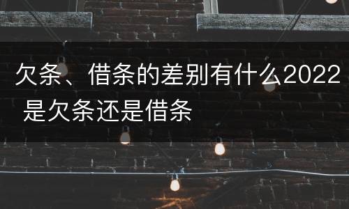 欠条、借条的差别有什么2022 是欠条还是借条