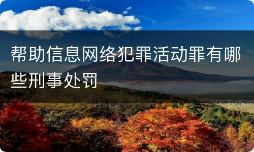 帮助信息网络犯罪活动罪有哪些刑事处罚