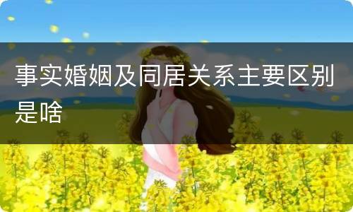 事实婚姻及同居关系主要区别是啥