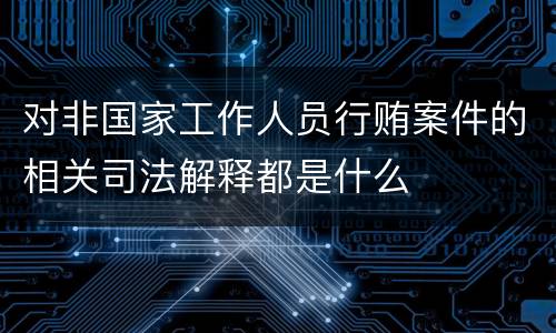 对非国家工作人员行贿案件的相关司法解释都是什么