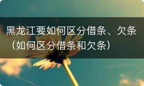 黑龙江要如何区分借条、欠条（如何区分借条和欠条）