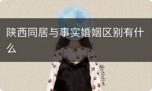 陕西同居与事实婚姻区别有什么