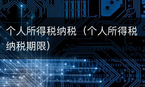 个人所得税纳税（个人所得税纳税期限）