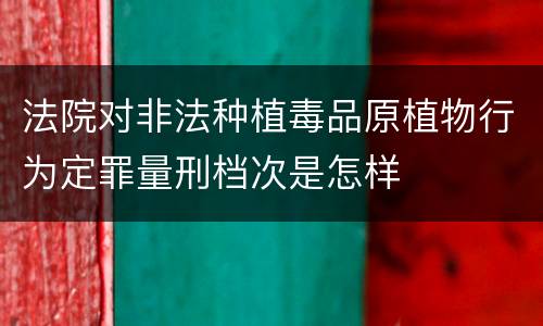 法院对非法种植毒品原植物行为定罪量刑档次是怎样