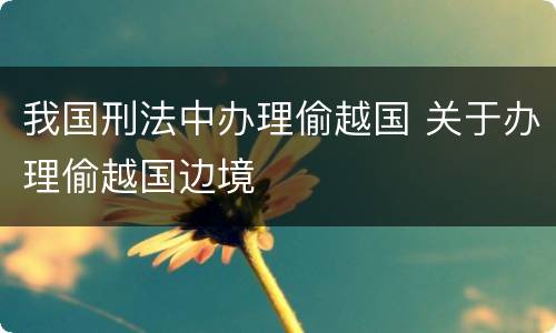 我国刑法中办理偷越国 关于办理偷越国边境