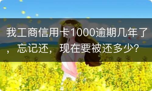 我工商信用卡1000逾期几年了，忘记还，现在要被还多少？怎么还