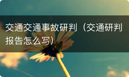 交通交通事故研判（交通研判报告怎么写）