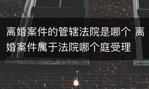 离婚案件的管辖法院是哪个 离婚案件属于法院哪个庭受理