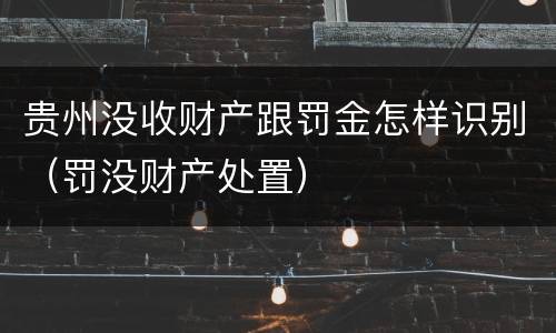 贵州没收财产跟罚金怎样识别（罚没财产处置）