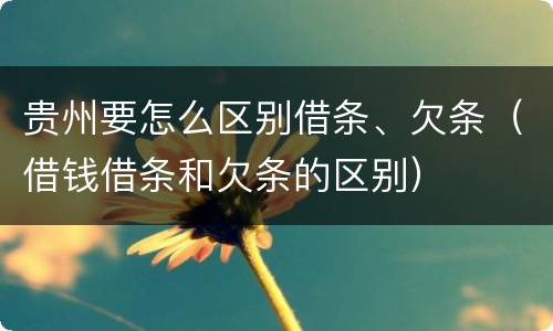 贵州要怎么区别借条、欠条（借钱借条和欠条的区别）