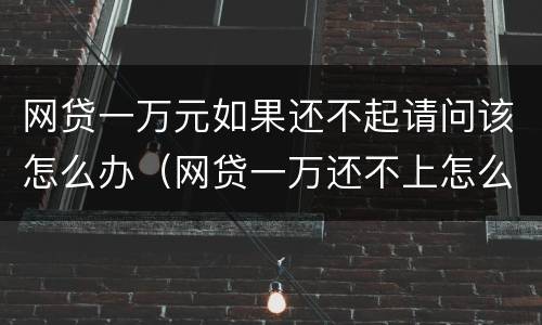 网贷一万元如果还不起请问该怎么办（网贷一万还不上怎么办）