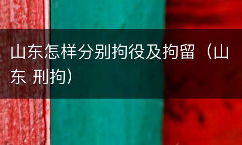 山东怎样分别拘役及拘留（山东 刑拘）