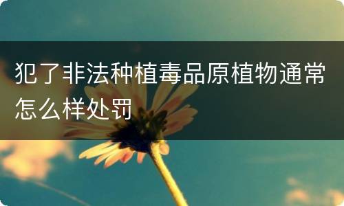 犯了非法种植毒品原植物通常怎么样处罚
