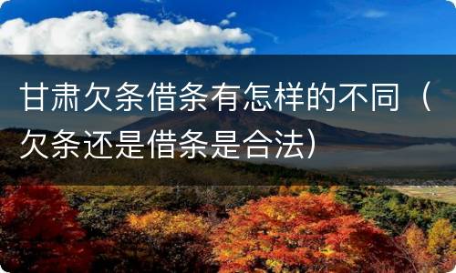 甘肃欠条借条有怎样的不同（欠条还是借条是合法）
