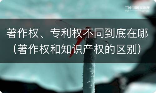 著作权、专利权不同到底在哪（著作权和知识产权的区别）