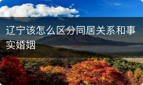 辽宁该怎么区分同居关系和事实婚姻