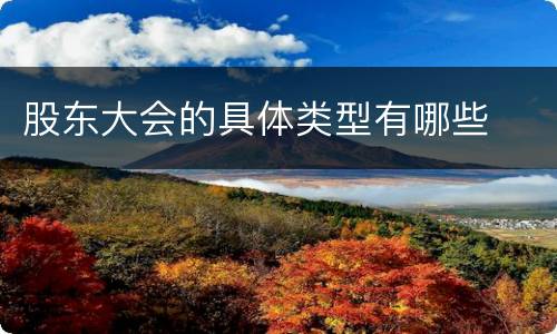 股东大会的具体类型有哪些