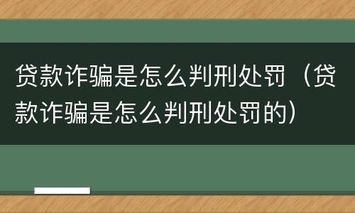 贷款诈骗是怎么判刑处罚（贷款诈骗是怎么判刑处罚的）
