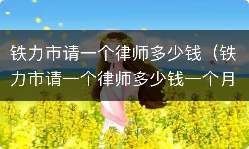 铁力市请一个律师多少钱（铁力市请一个律师多少钱一个月）