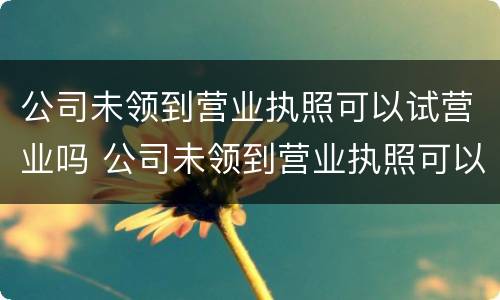公司未领到营业执照可以试营业吗 公司未领到营业执照可以试营业吗合法吗