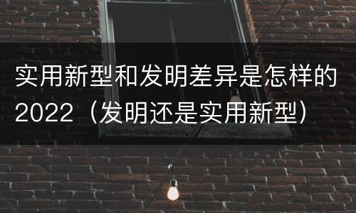 实用新型和发明差异是怎样的2022（发明还是实用新型）
