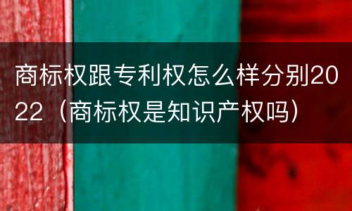商标权跟专利权怎么样分别2022（商标权是知识产权吗）