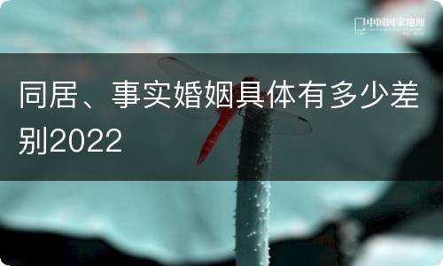 同居、事实婚姻具体有多少差别2022