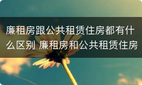 廉租房跟公共租赁住房都有什么区别 廉租房和公共租赁住房有什么区别