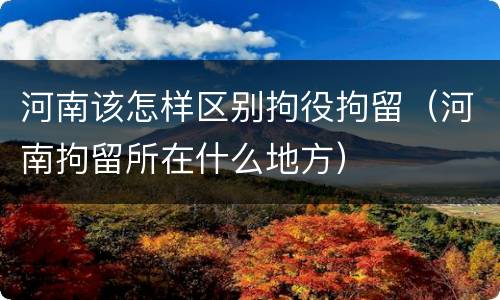 河南该怎样区别拘役拘留（河南拘留所在什么地方）