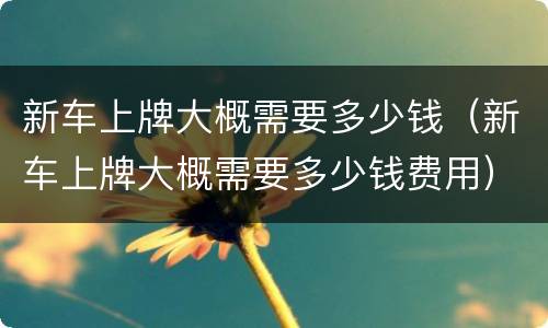 新车上牌大概需要多少钱（新车上牌大概需要多少钱费用）