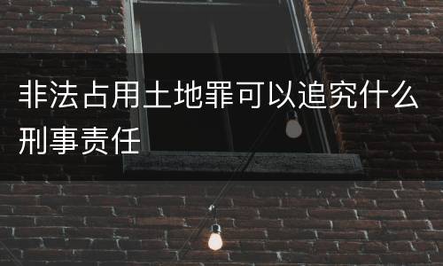 非法占用土地罪可以追究什么刑事责任