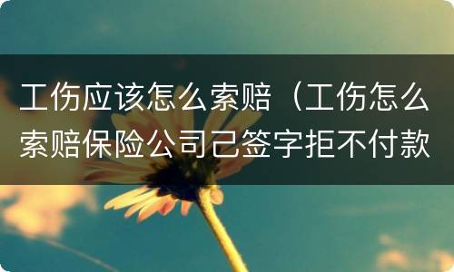 工伤应该怎么索赔（工伤怎么索赔保险公司己签字拒不付款怎么办）