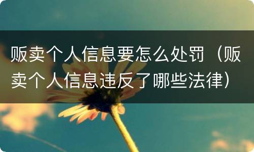 贩卖个人信息要怎么处罚（贩卖个人信息违反了哪些法律）