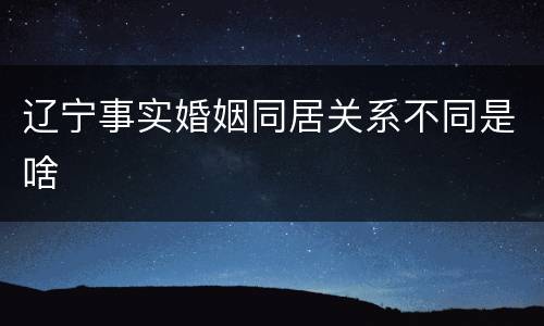 辽宁事实婚姻同居关系不同是啥