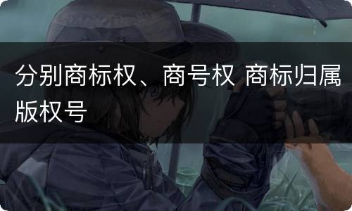 分别商标权、商号权 商标归属版权号