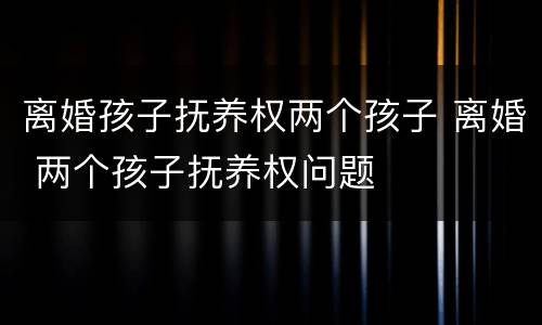 离婚孩子抚养权两个孩子 离婚 两个孩子抚养权问题