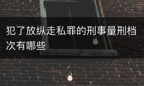 犯了放纵走私罪的刑事量刑档次有哪些