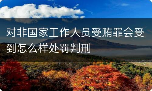 对非国家工作人员受贿罪会受到怎么样处罚判刑