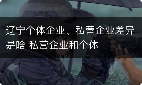 辽宁个体企业、私营企业差异是啥 私营企业和个体