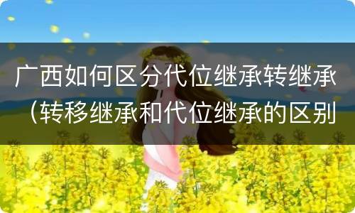 广西如何区分代位继承转继承（转移继承和代位继承的区别）
