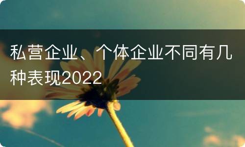私营企业、个体企业不同有几种表现2022
