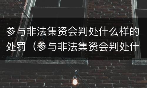 参与非法集资会判处什么样的处罚（参与非法集资会判处什么样的处罚标准）