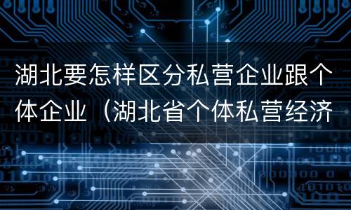 湖北要怎样区分私营企业跟个体企业（湖北省个体私营经济网）