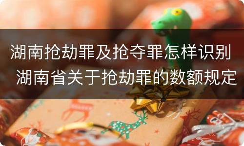 湖南抢劫罪及抢夺罪怎样识别 湖南省关于抢劫罪的数额规定
