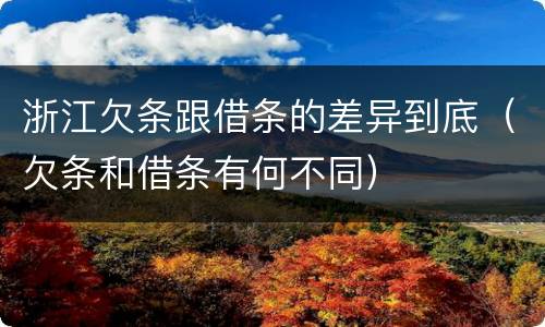 浙江欠条跟借条的差异到底（欠条和借条有何不同）