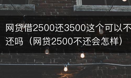 网贷借2500还3500这个可以不还吗（网贷2500不还会怎样）