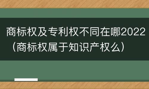 商标权及专利权不同在哪2022（商标权属于知识产权么）